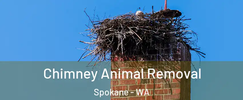  Chimney Animal Removal Spokane - WA