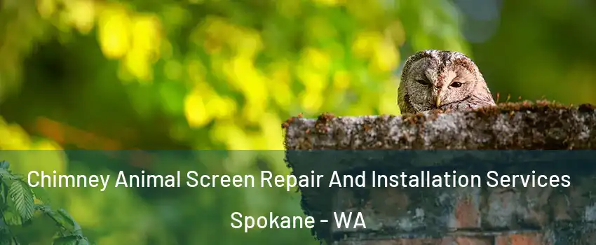  Chimney Animal Screen Repair And Installation Services Spokane - WA