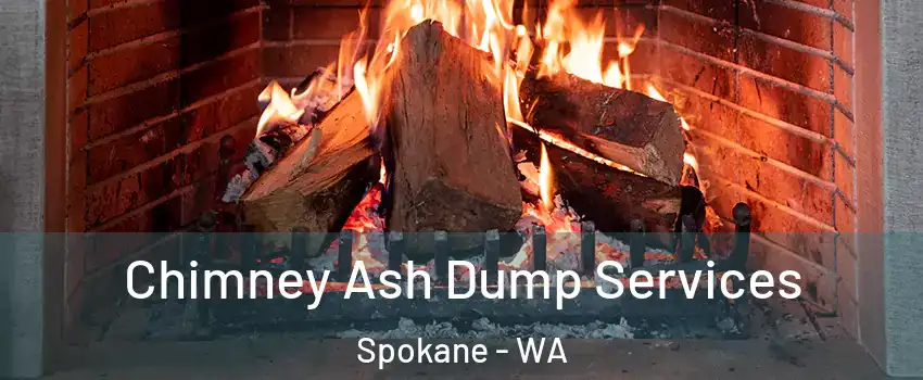  Chimney Ash Dump Services Spokane - WA