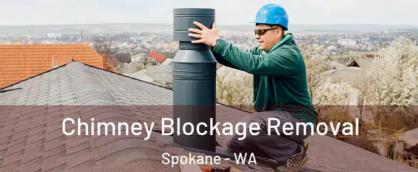  Chimney Blockage Removal Spokane - WA