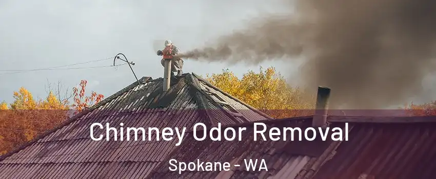  Chimney Odor Removal Spokane - WA