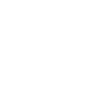 Professional Chimney Flue Installation in Spokane, Washington