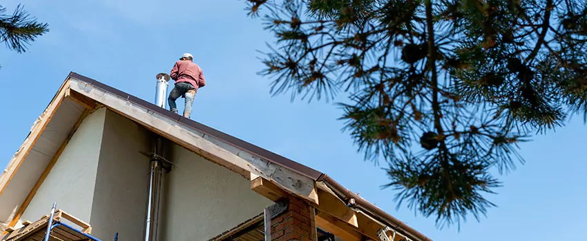 Birds Removal Contractors from Chimney in Spokane, WA