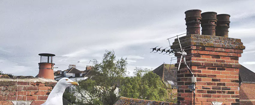 Chimney Cleaning And Restoration in Spokane, Washington