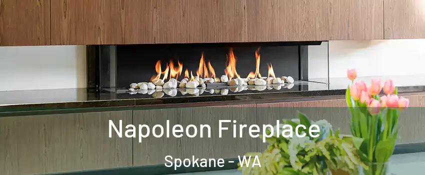  Napoleon Fireplace Spokane - WA